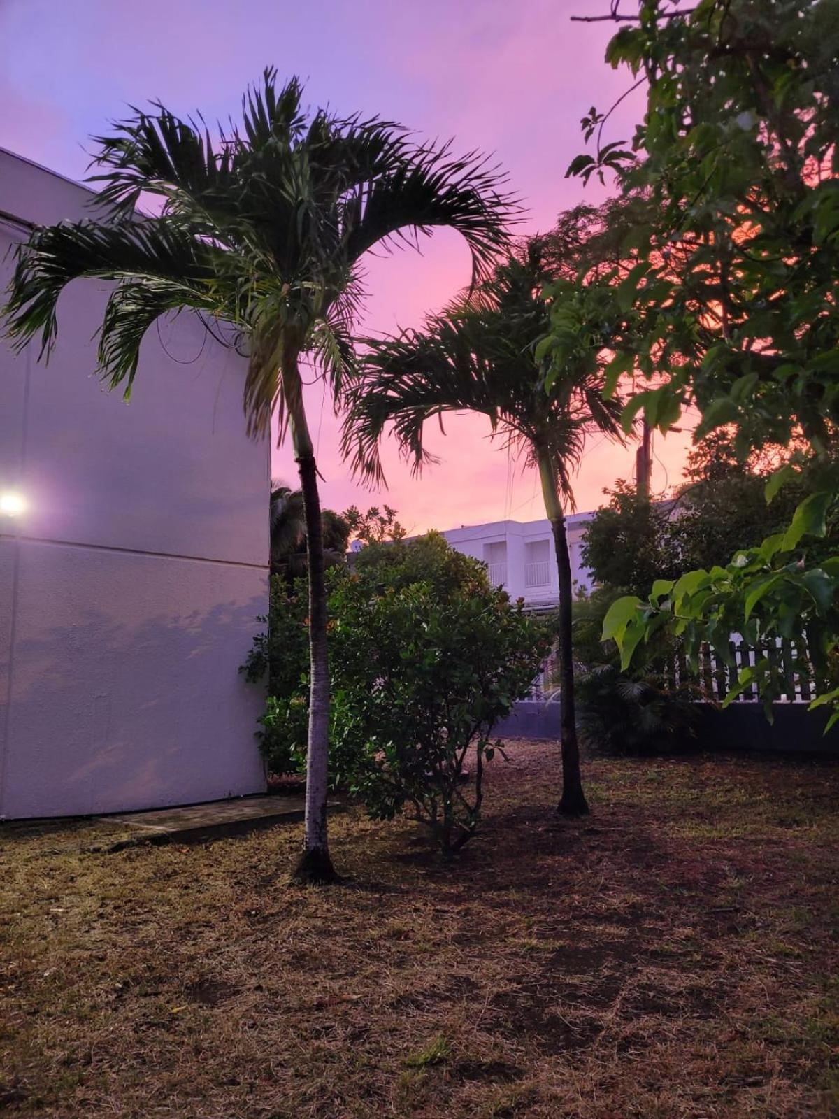 Tropical Love L'Etang-Sale Exterior photo